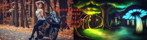 МДМА Алексеевка