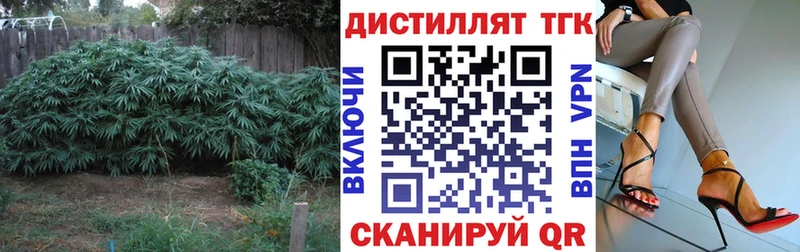 ТГК концентрат где найти Тогучин