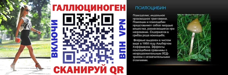 Псилоцибиновые грибы ЛСД  KRAKEN онион  Тогучин 